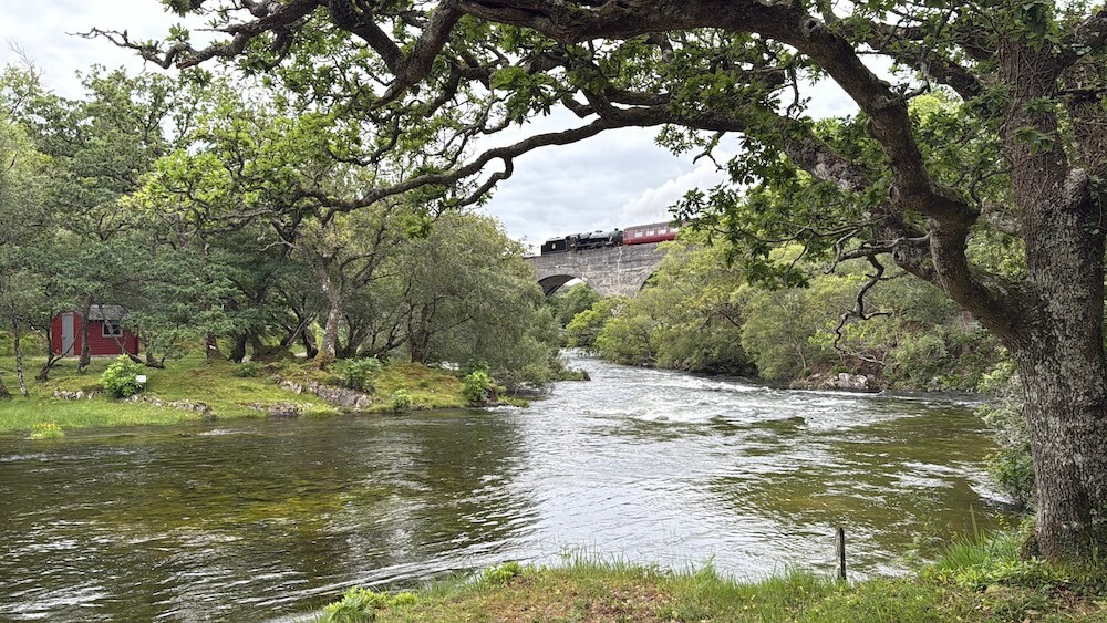 A scenic river bordered by lush green trees with a red wooden cabin nestled among them, while a vintage steam train crosses a stone bridge in the background. The scene is framed by an arched tree branch in the foreground.