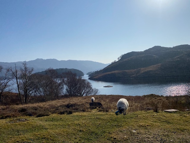 Loch Morar walks