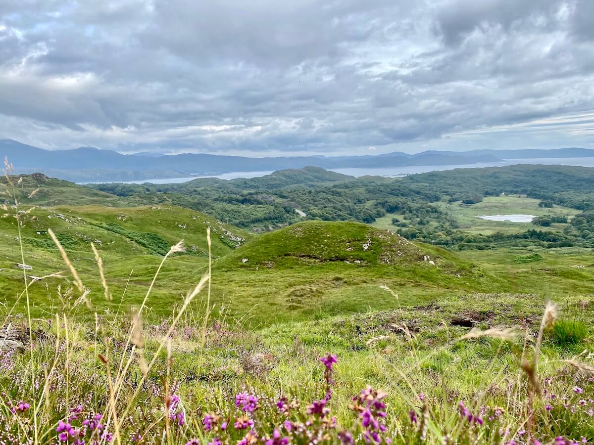 view from mountain of hills, lochs and sea with flora in foreground