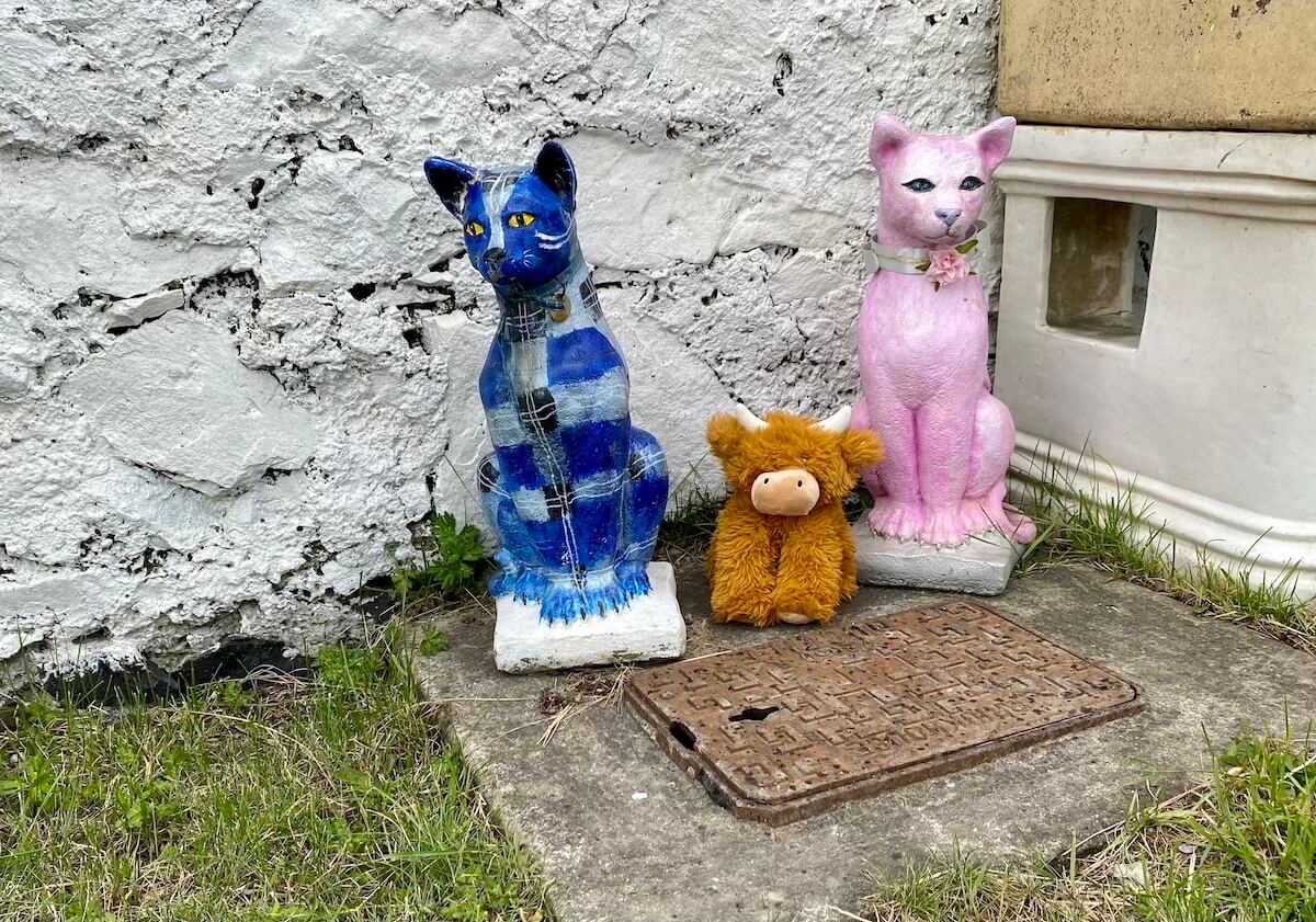 painted cats in pink and blue