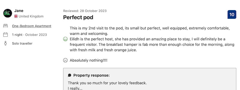 screenshot of booking dot com review