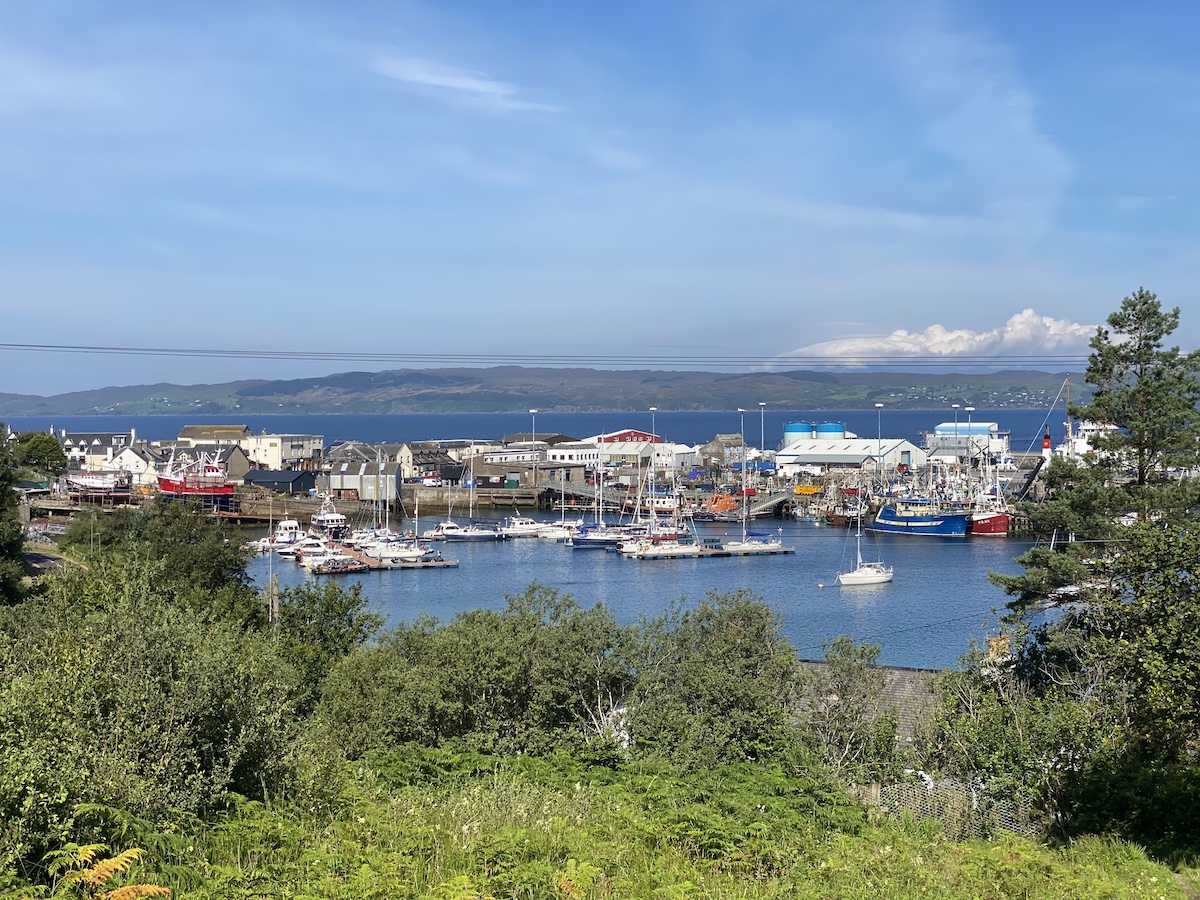 view of Mallaig harbour and boats from the circular walk