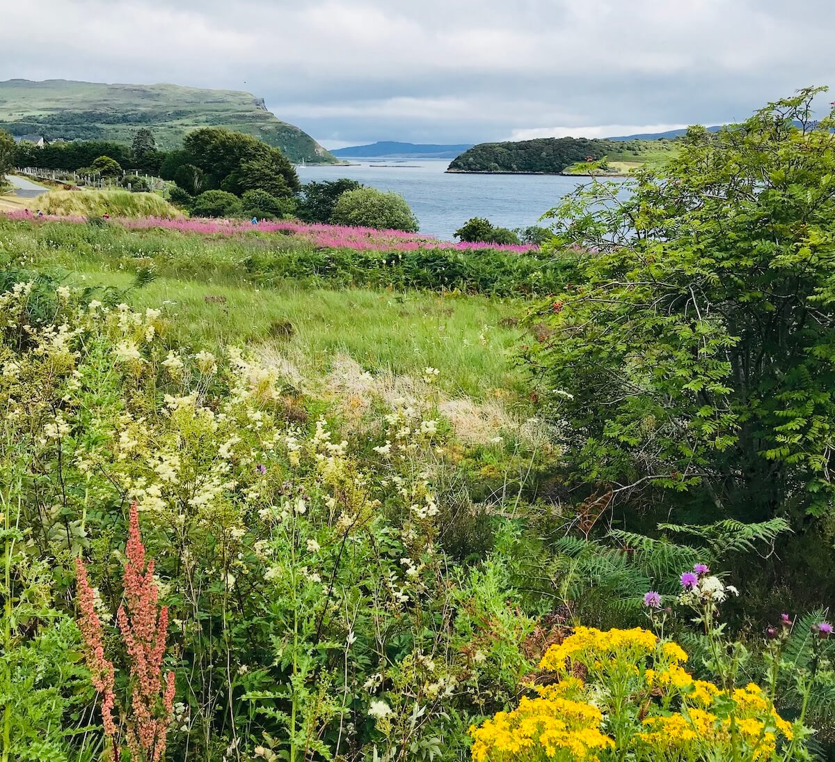 A picturesque view from a road on the Isle of Skye, with a vibrant range of wildflowers including pink heather and yellow gorse. In the distance, the calm sea meets the sky, framed by rolling hills and a small island, under a partly cloudy sky.