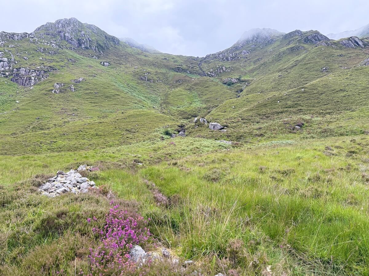 A misty Highland valley with lush green hills, scattered rocks, and a small patch of blooming heather in the foreground. The overcast sky and rugged terrain evoke a peaceful yet remote atmosphere.
