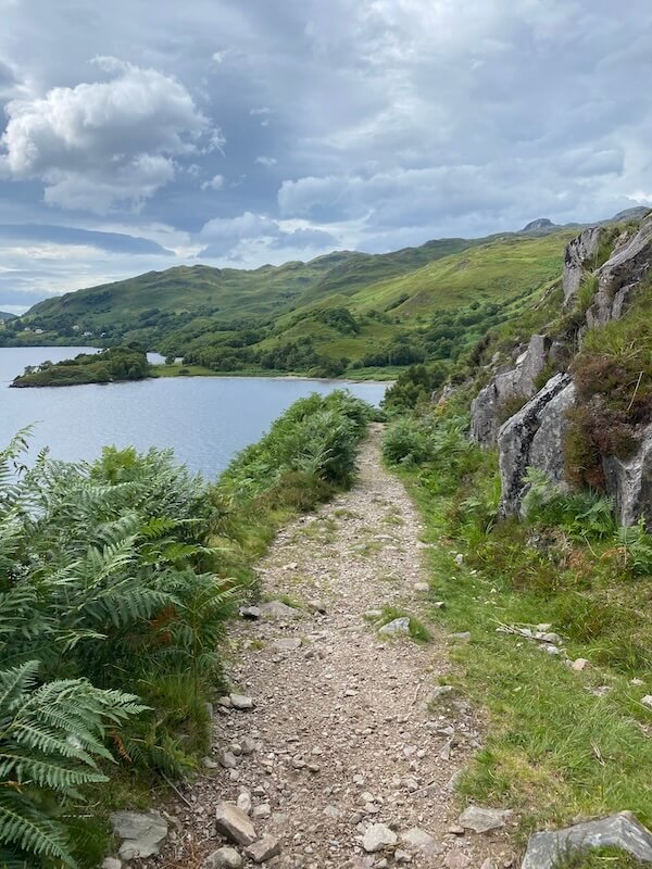 path on hike along loch morar with lots of green growth and a cloudy sky