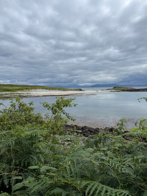 View of a quiet bay with still, pale blue water framed by green vegetation and low, grassy cliffs under a moody, overcast sky.