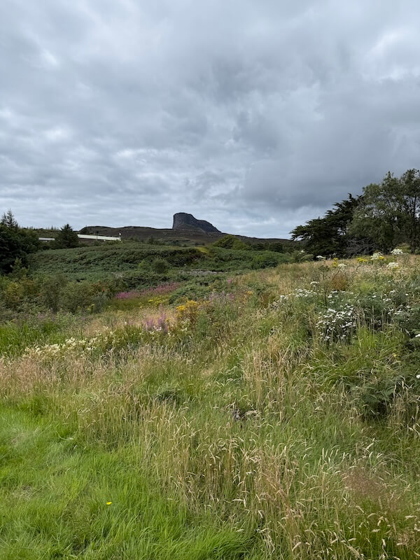 Wildflower-strewn meadow leading toward a flat-topped rocky hill in the distance, with dense shrubbery and overcast skies giving a dramatic Highland feel.