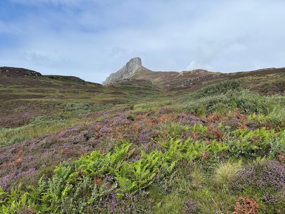 Heather covered hillside stretches towards a distinctive rocky peak in the distance, with ferns and grasses in the foreground. The open landscape sits beneath a cloudy sky.