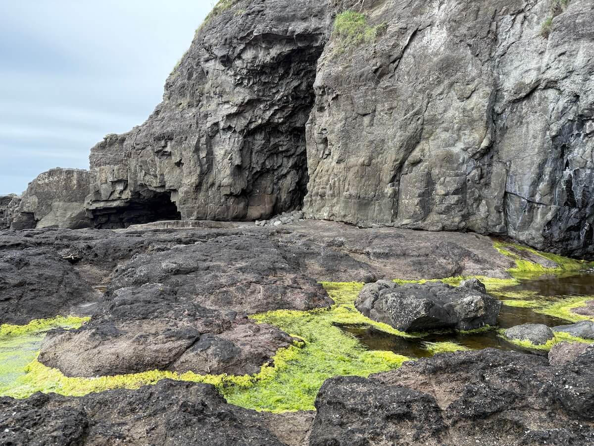 Rocky shoreline with shallow pools of water edged by bright green algae, set against a steep cliff with two dark cave openings. The rough, uneven surface highlights the coastal landscape under a grey sky.
