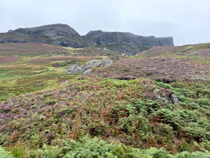 Rolling hillside covered in heather and ferns rises towards rocky cliffs in the distance. The landscape appears rugged and open beneath a grey sky.