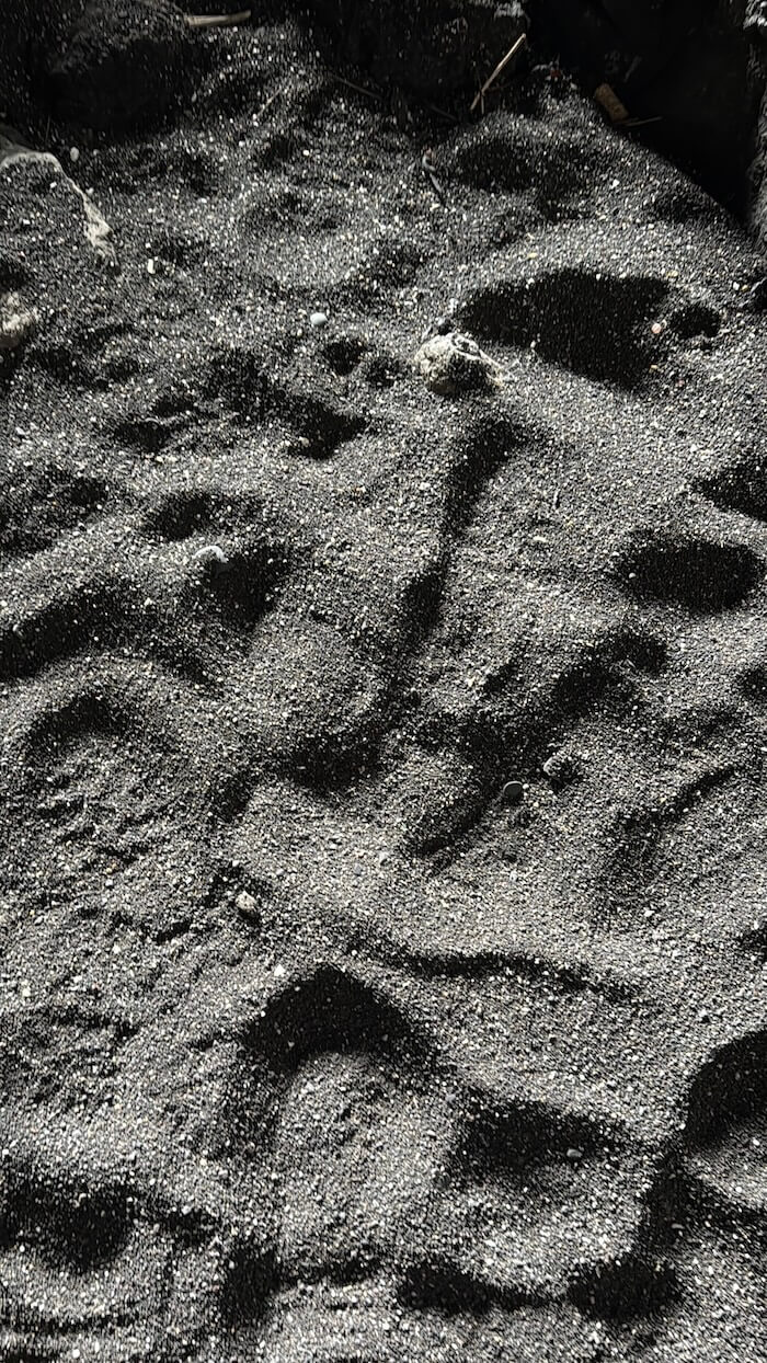 Close view of dark sand covered in footprints and shallow impressions, showing uneven texture inside the cave. The surface appears soft and slightly damp.