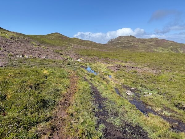 Muddy track with standing water winds through grassy moorland towards low hills under a bright sky. The path appears wet and uneven.
