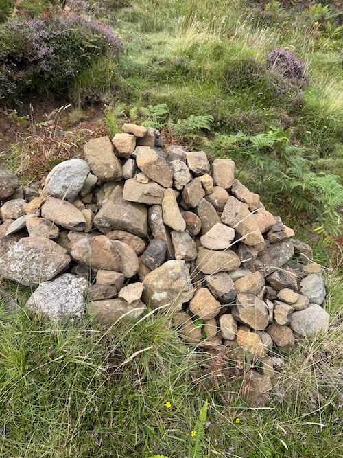 Small pile of loose stones stacked on grass and surrounded by ferns and heather. The rough rocks appear casually arranged in a low mound.