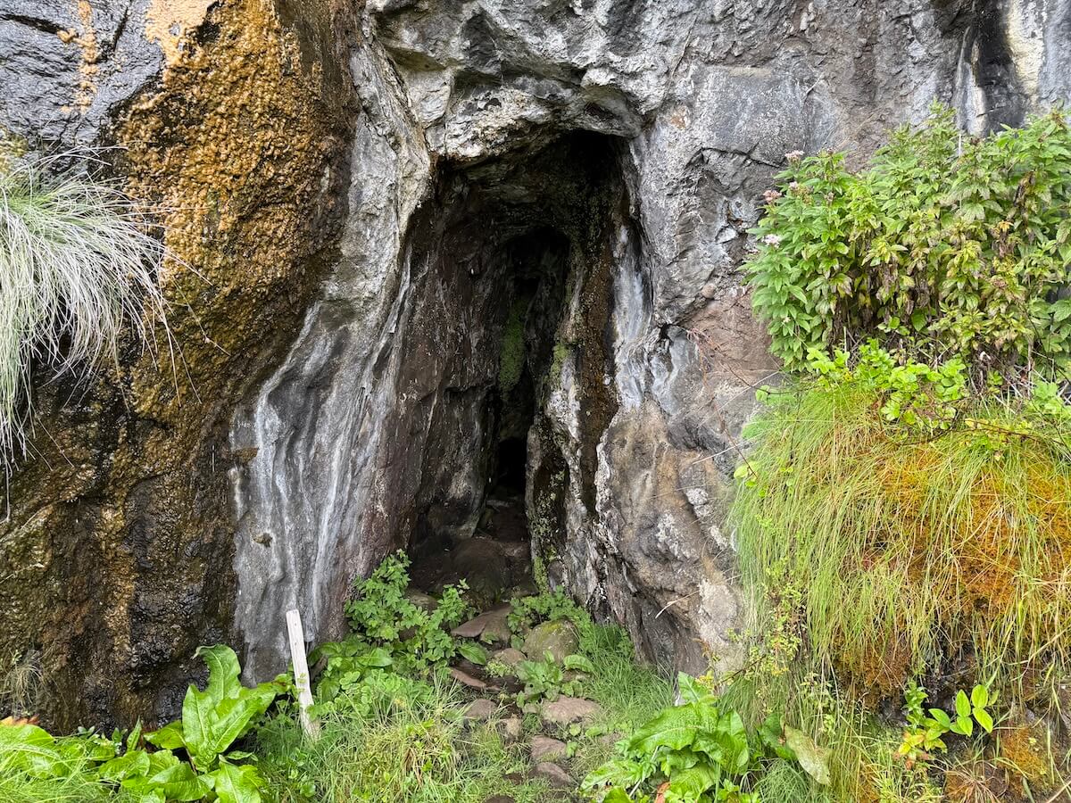 Narrow cave entrance opens in a rocky cliff, with damp stone walls and green plants growing around the opening. A small path leads inside over uneven ground.