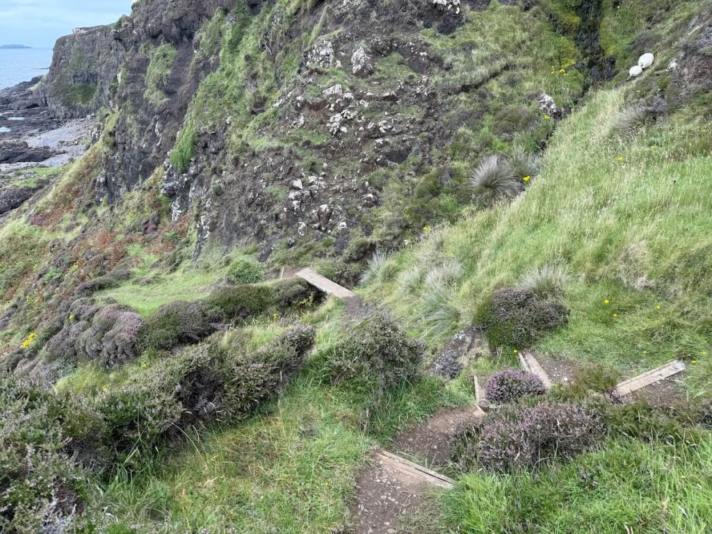 Narrow dirt path winds along a steep grassy cliff, with rocky slopes rising on one side and the sea visible below. Low shrubs and uneven steps mark the rugged terrain.