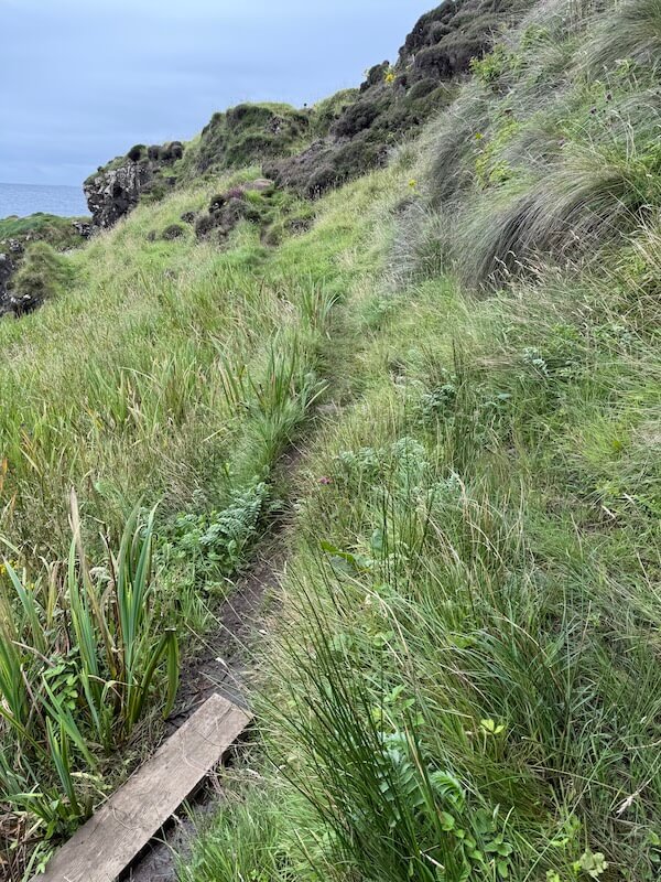 Thin dirt path cuts through tall grass along a steep hillside, with the sea just visible to the left. The path appears uneven and lightly worn.