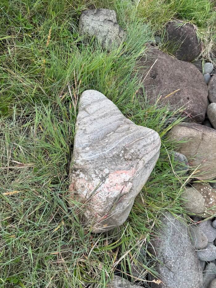 Large pale rock with faint pink streaks lies among grass and smaller stones. The surface appears smooth and weathered.