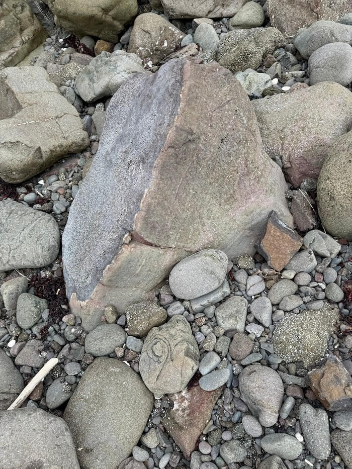 Rounded boulder sits among mixed pebbles on a rocky shore, showing a split of grey and brown tones. Smaller stones surround it in varied shapes.