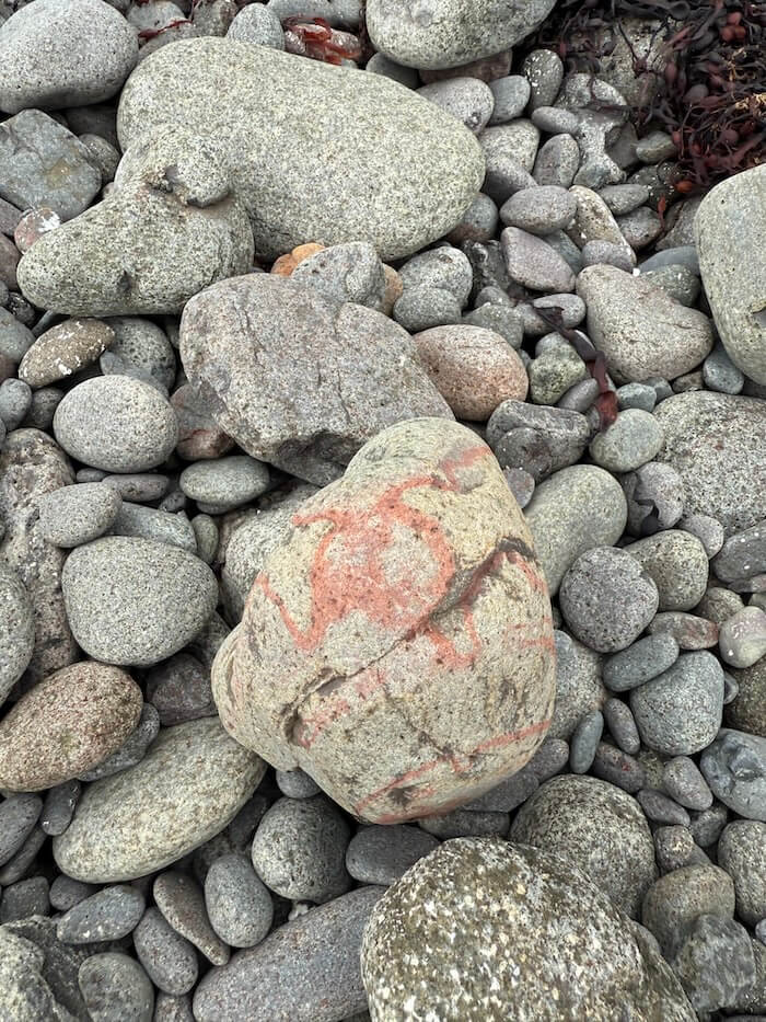 Light coloured stone with reddish markings rests among smooth grey pebbles. The contrasting patterns stand out against the surrounding rocks.