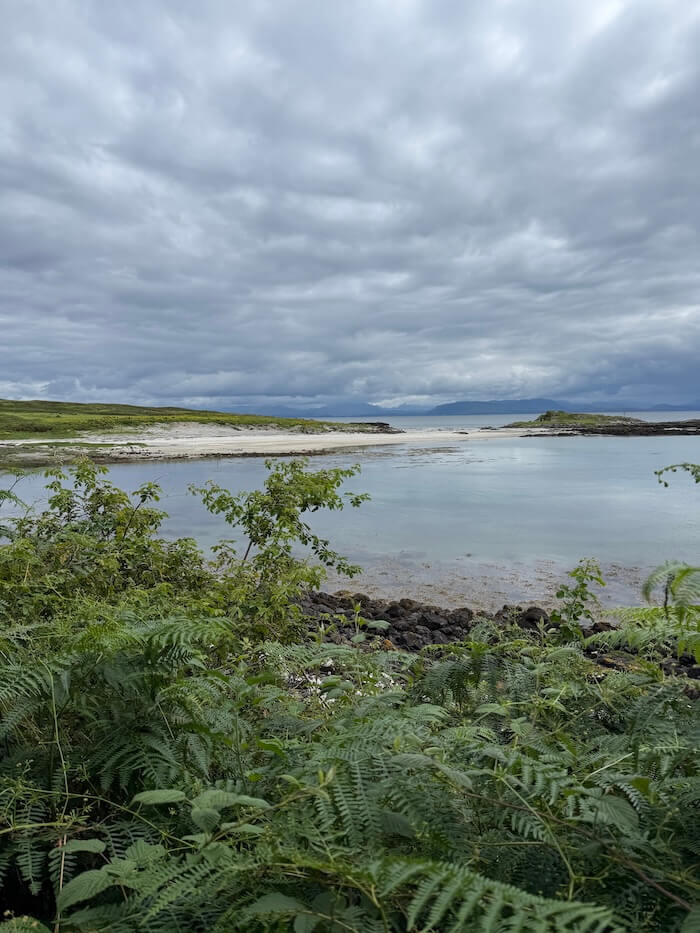 Calm inlet with pale sandy shore and still water stretches out towards distant hills, framed by ferns and shrubs in the foreground. Dark clouds hang low over the landscape, giving the coastal scene a moody atmosphere.