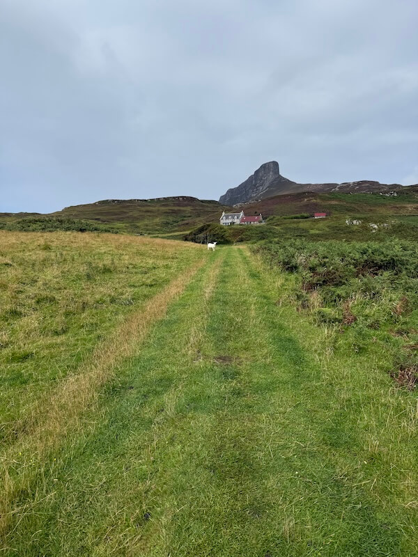 Grassy track leads towards a house at the base of a steep rocky peak, with a small white sheep standing on the path. The open landscape stretches under a grey sky.