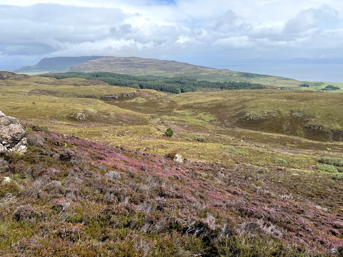 Wide view of rolling hills covered in heather and grass, leading towards a coastline and distant cliffs under layered clouds. The landscape appears vast and windswept.