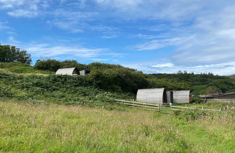 Three small wooden camping pods set among tall grasses dense ferns and leafy hedges on a sunny hillside. A fenced path leads toward the lower pods with a glimpse of the coast beyond.